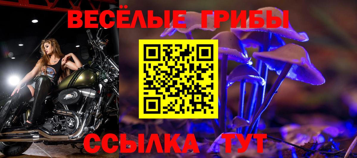 Псилоцибиновые грибы Magic Shrooms  Вход с VPN  Прокопьевск 